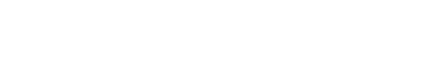 Platinum Digital logo