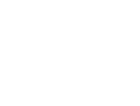 PracticeMadePerfect logo